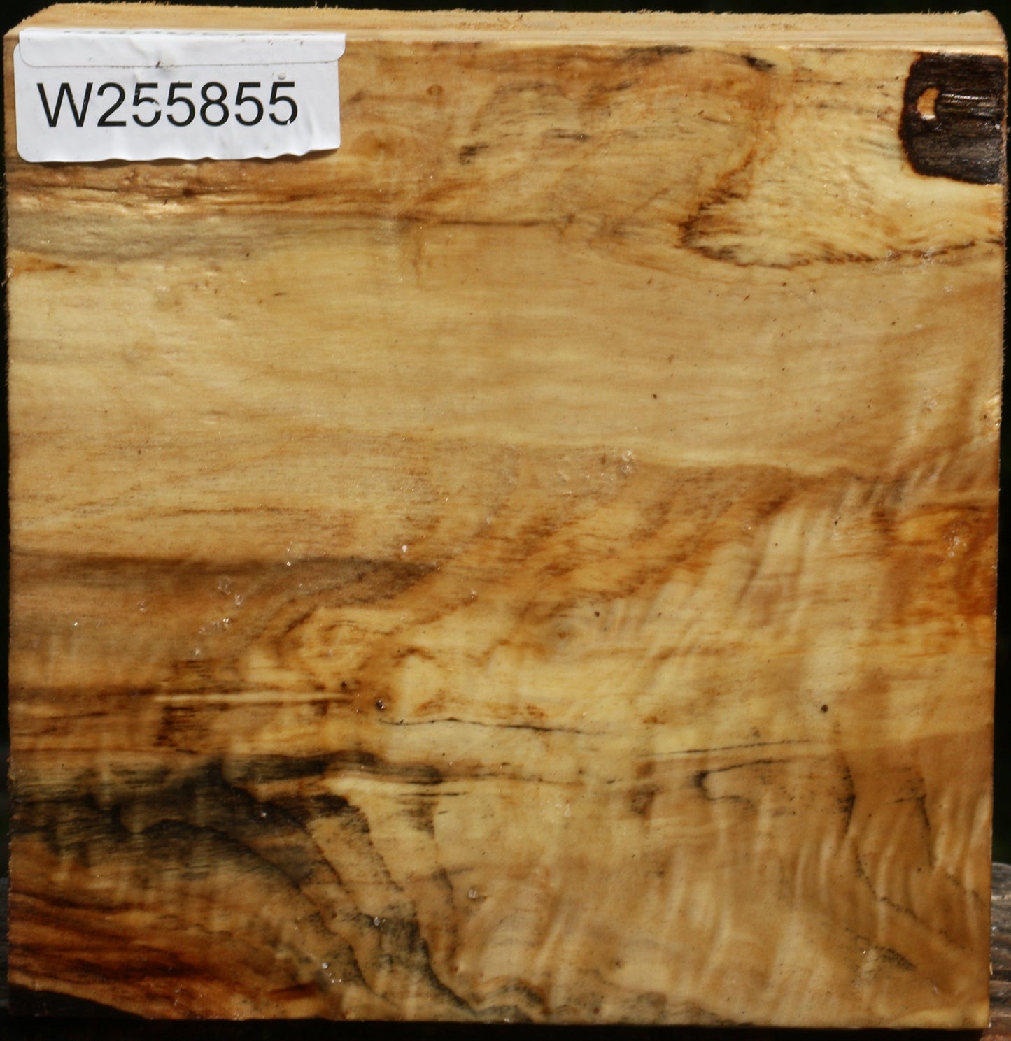 Figured Black Cottonwood Bowl Blank