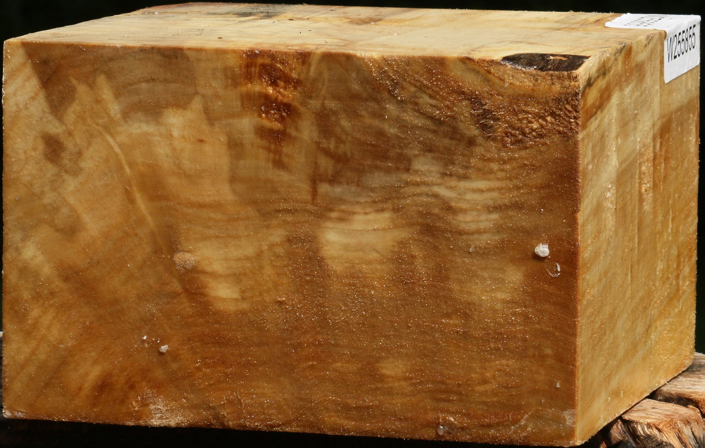 Figured Black Cottonwood Bowl Blank