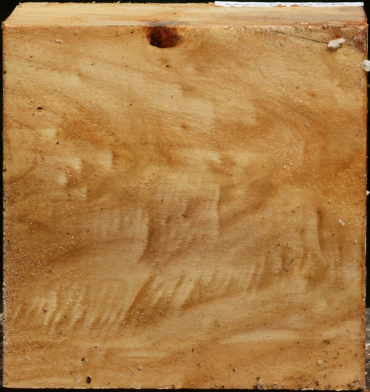 Figured Black Cottonwood Bowl Blank