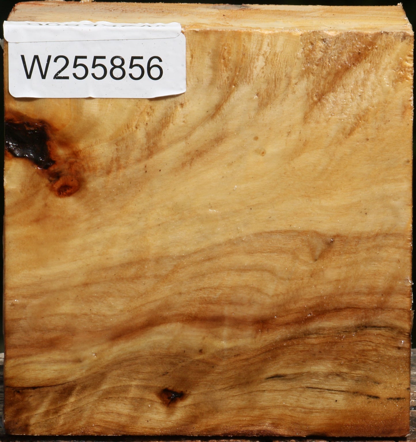 Figured Black Cottonwood Bowl Blank