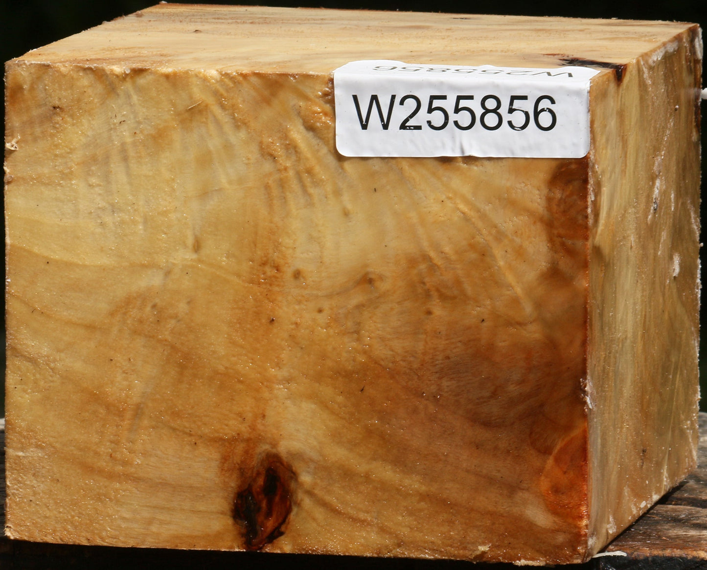 Figured Black Cottonwood Bowl Blank
