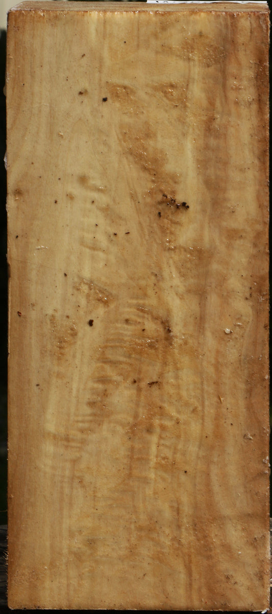 Figured Black Cottonwood Turning Blank
