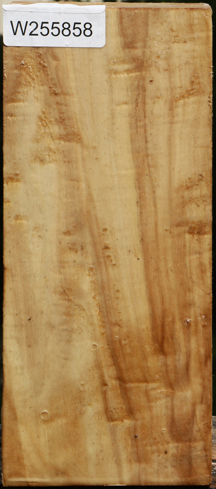 Figured Black Cottonwood Turning Blank