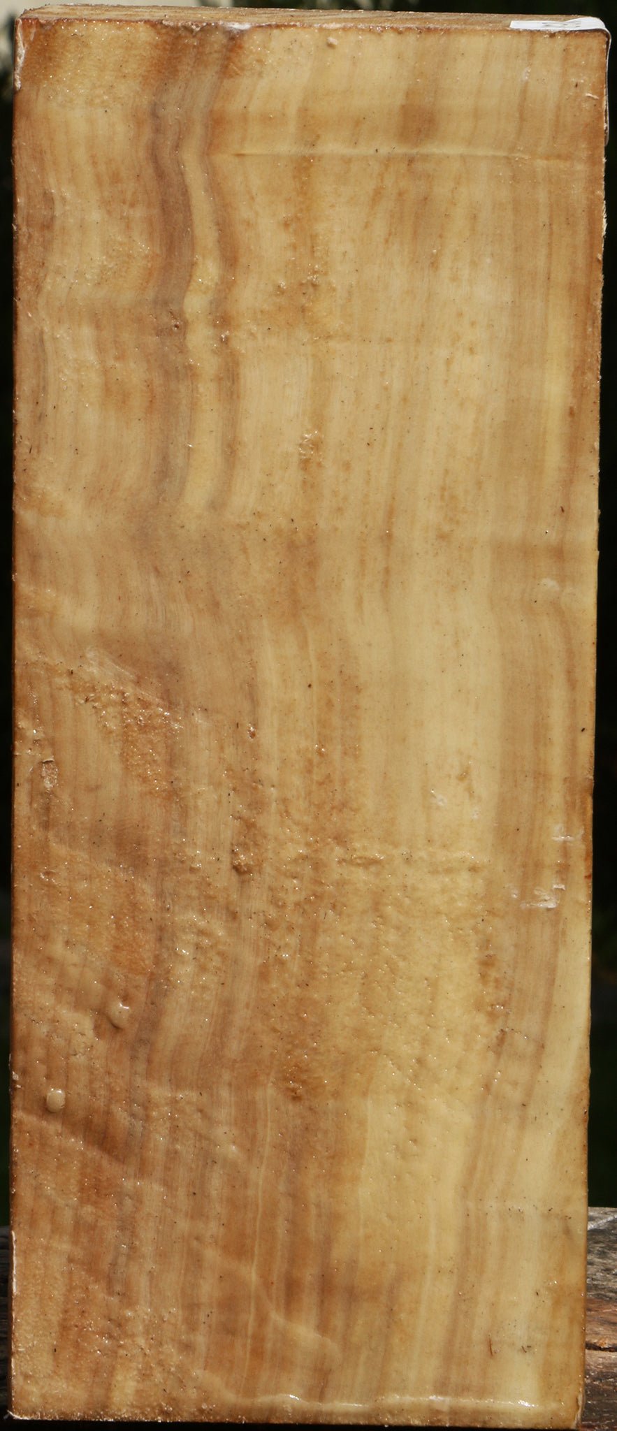 Figured Black Cottonwood Turning Blank