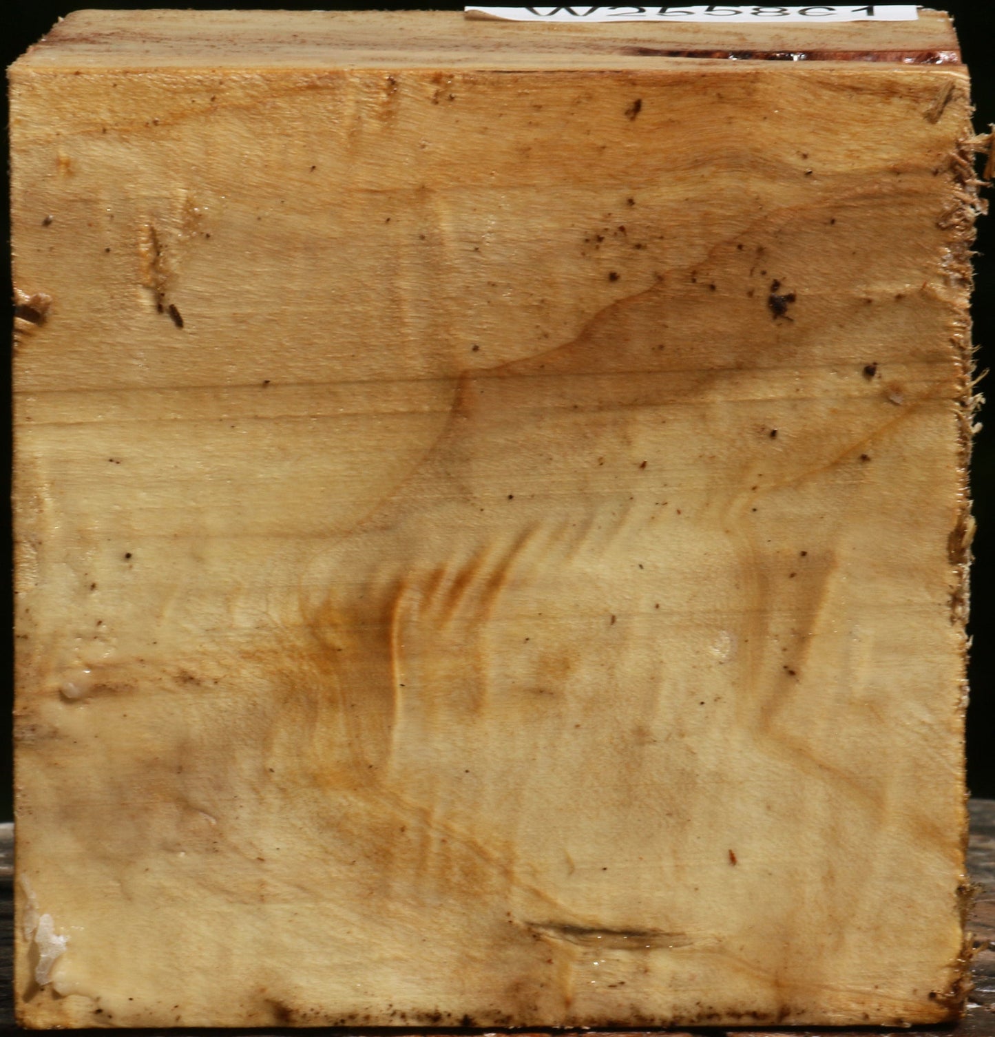 Figured Black Cottonwood Bowl Blank