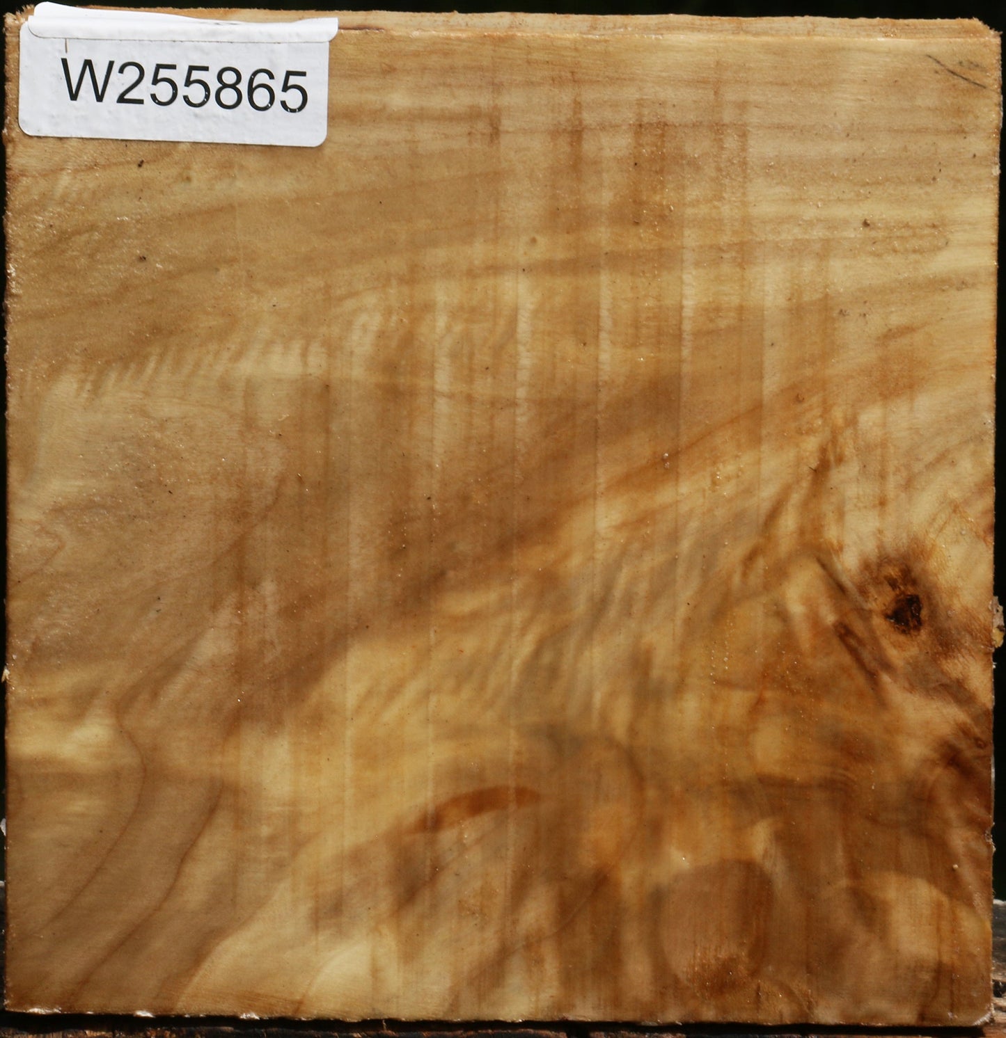 Figured Black Cottonwood Bowl Blank