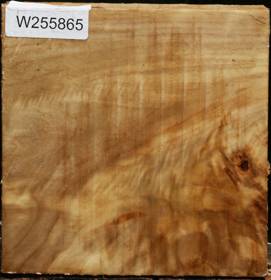 Figured Black Cottonwood Bowl Blank