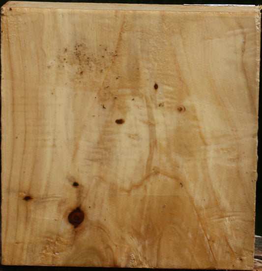 Black Cottonwood Bowl Blank