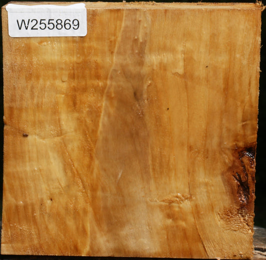 Figured Black Cottonwood Turning Blank