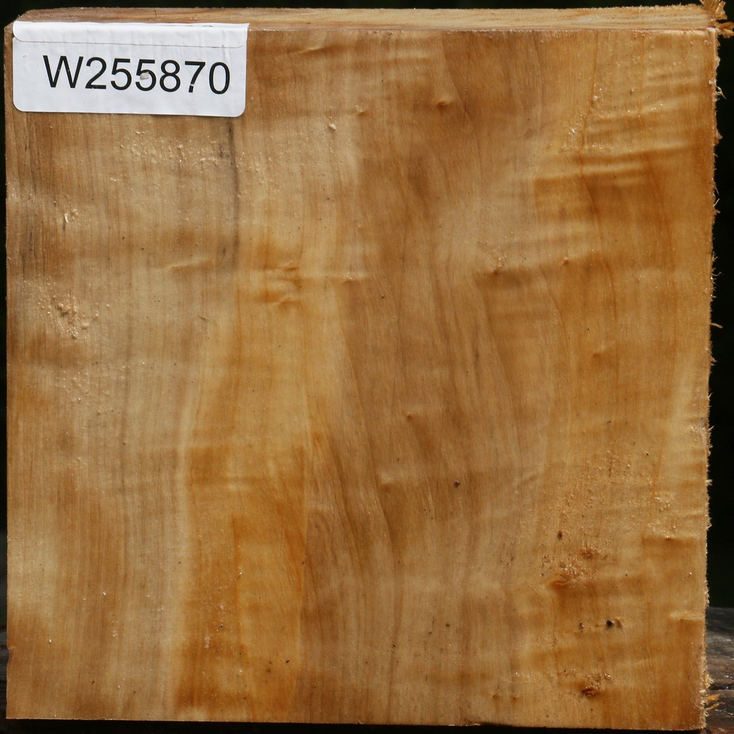 Figured Black Cottonwood Bowl Blank