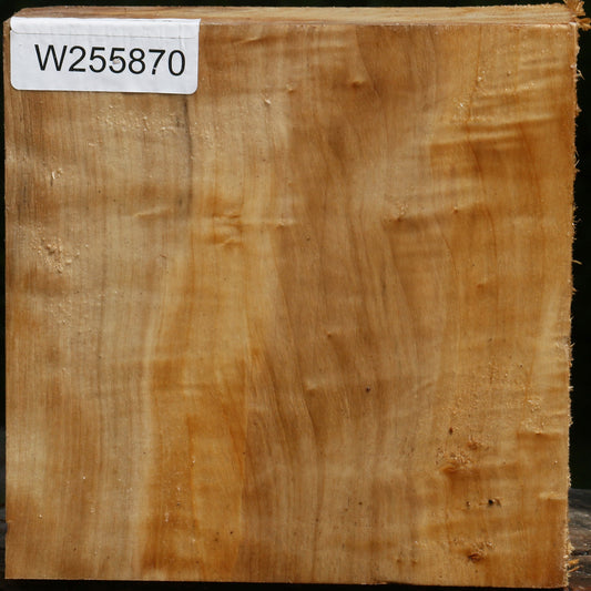 Figured Black Cottonwood Bowl Blank
