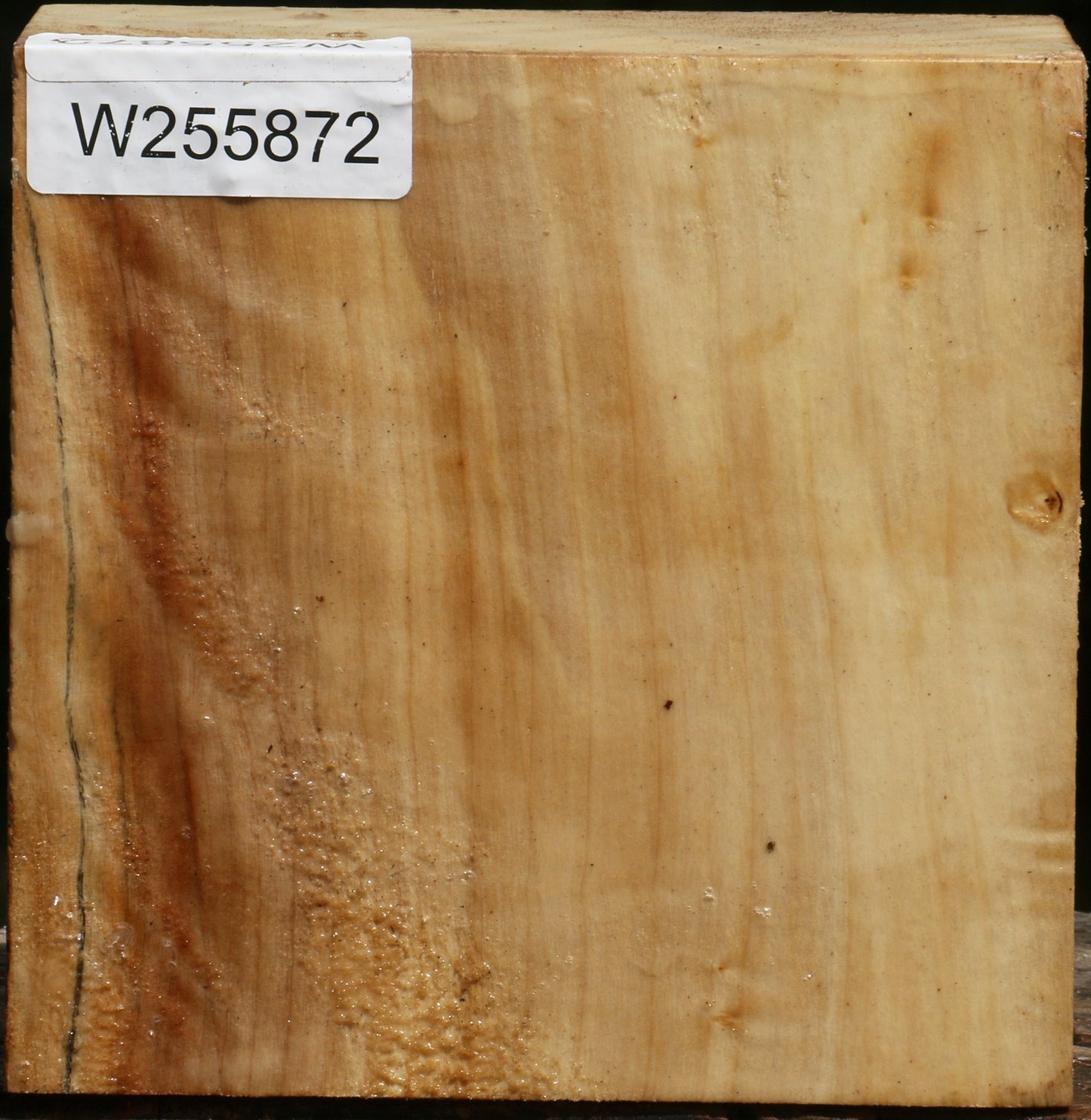 Black Cottonwood Bowl Blank