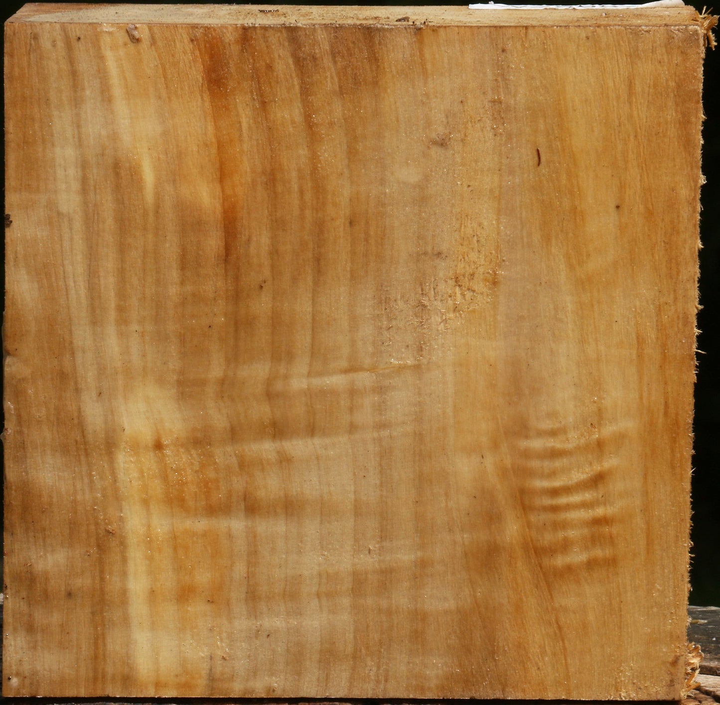 Figured Black Cottonwood Bowl Blank