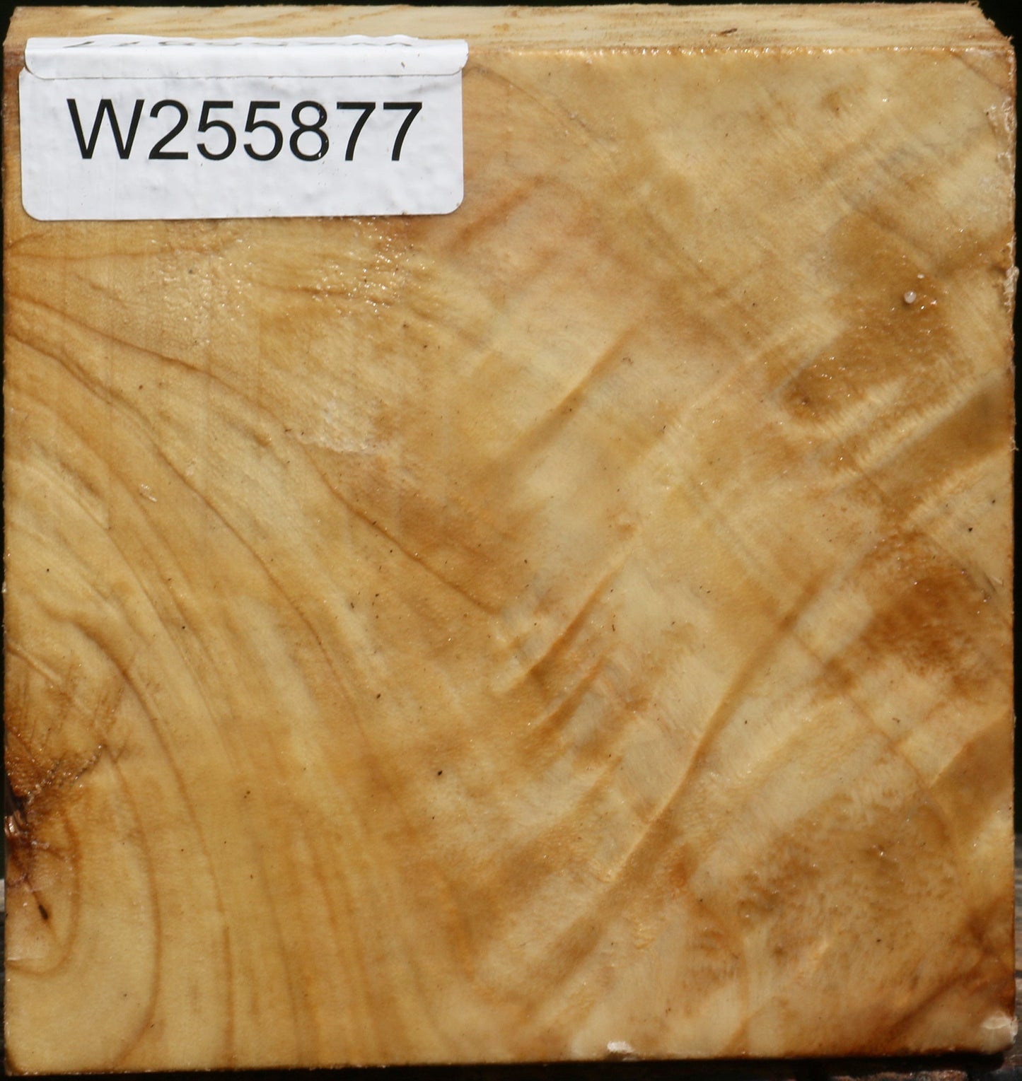 Figured Black Cottonwood Bowl Blank