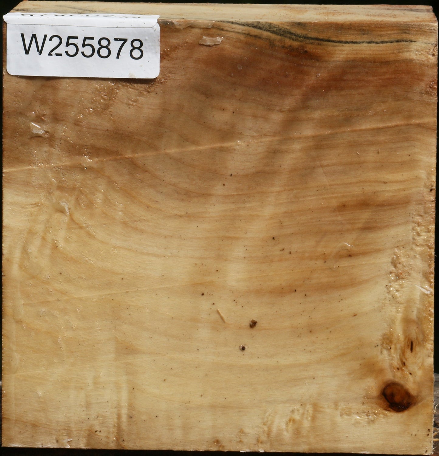 Figured Black Cottonwood Bowl Blank