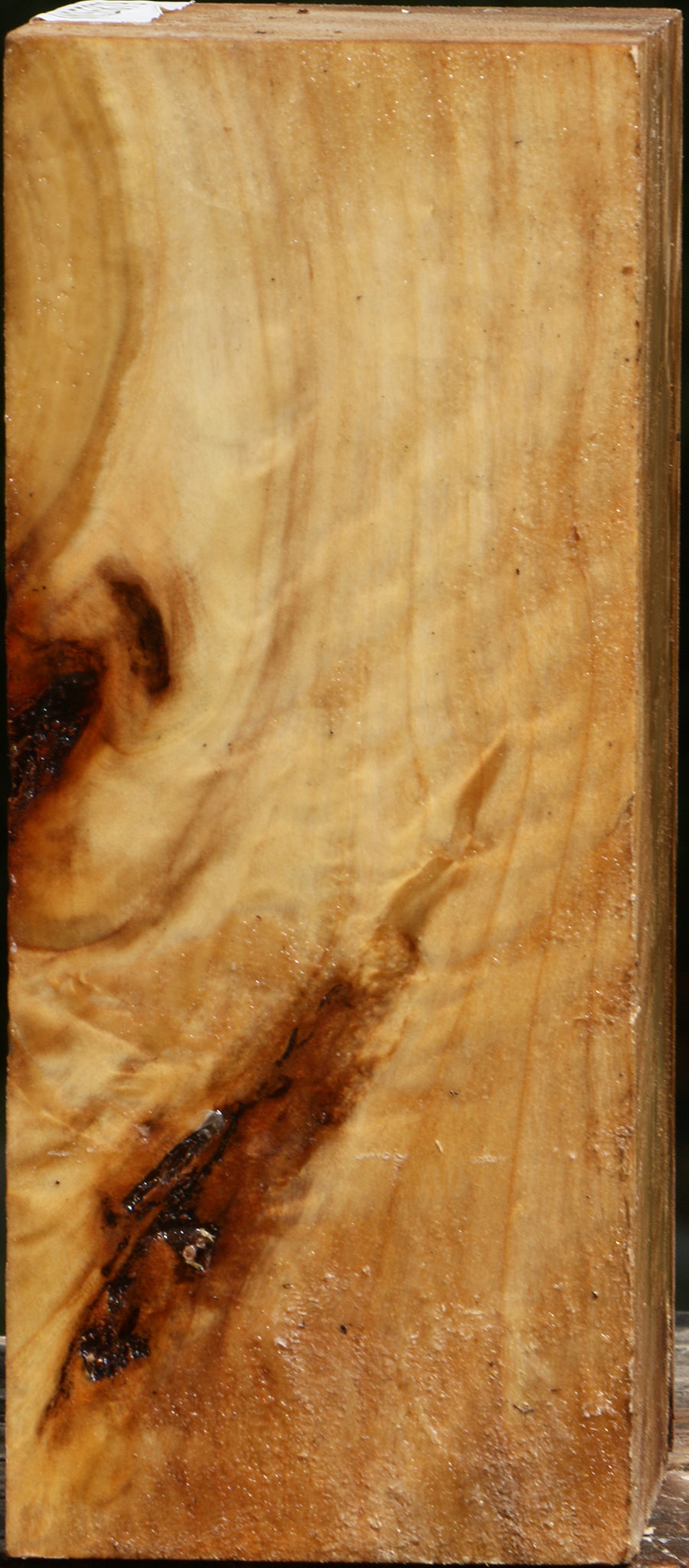 Figured Black Cottonwood Vessel Blank