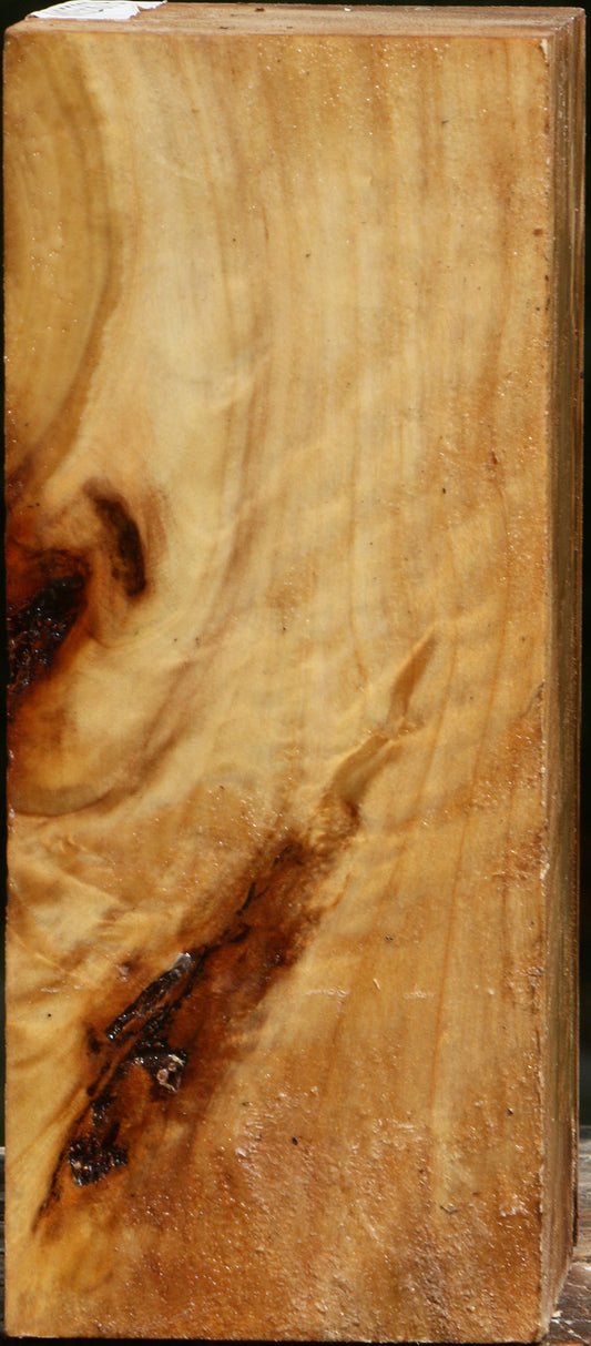 Figured Black Cottonwood Vessel Blank