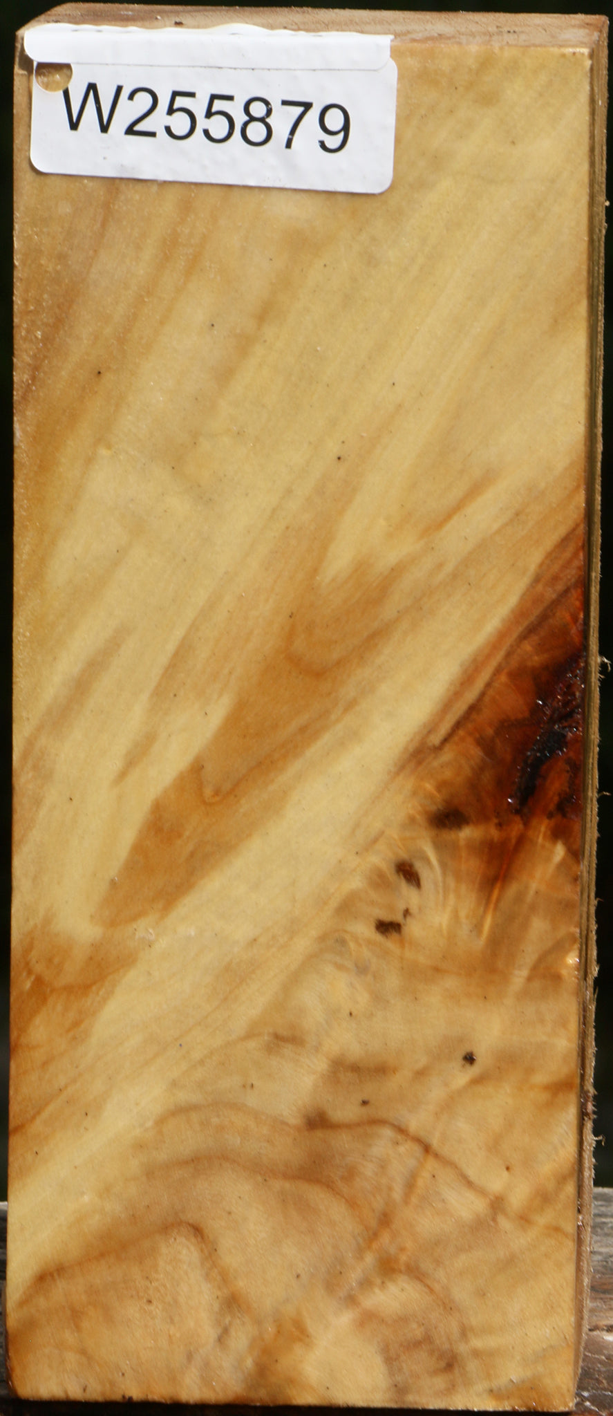 Figured Black Cottonwood Vessel Blank