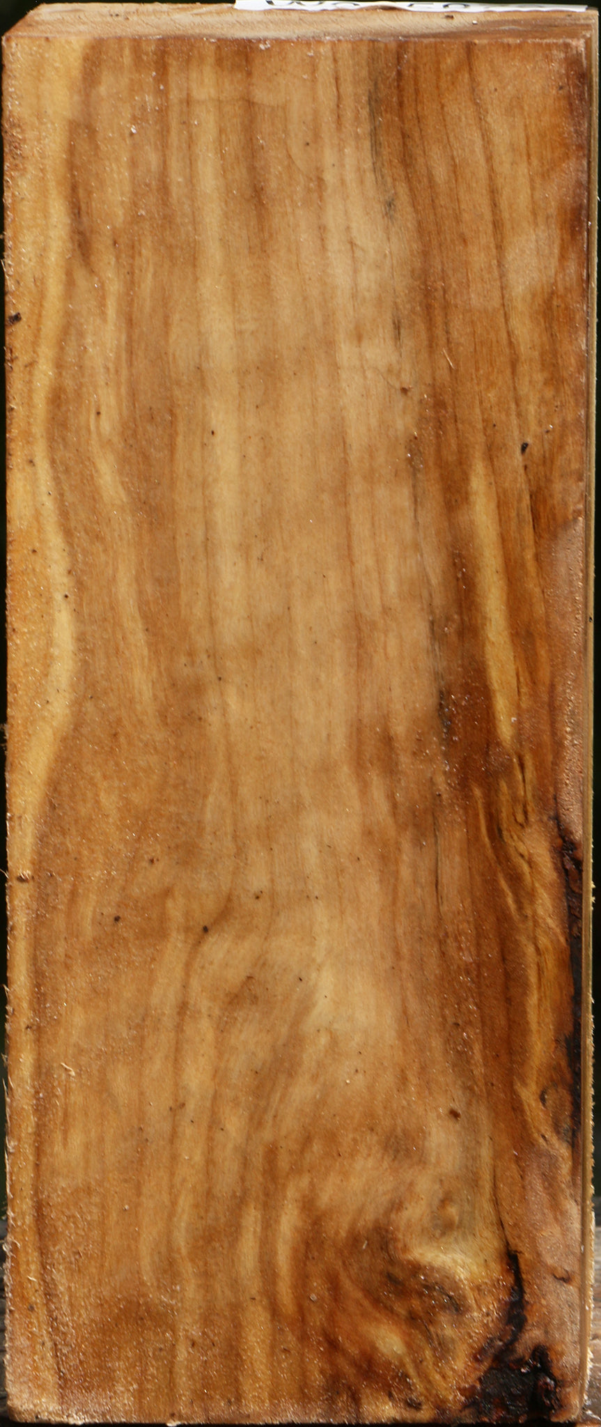 Figured Black Cottonwood Vessel Blank