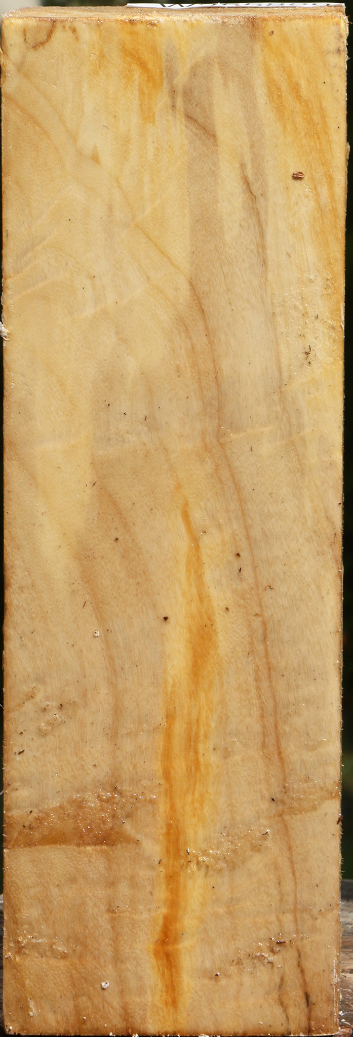 Figured Black Cottonwood Vessel Blank