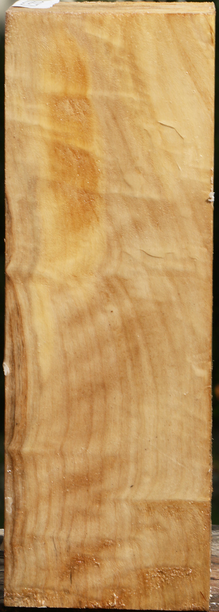 Figured Black Cottonwood Vessel Blank