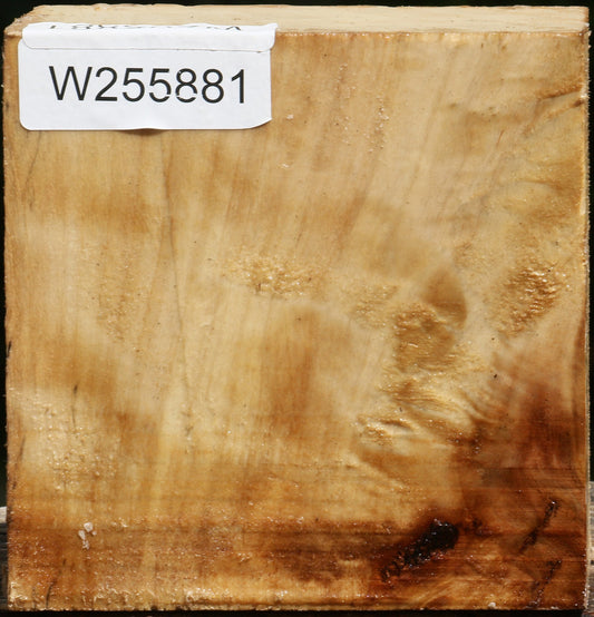 Black Cottonwood Bowl Blank