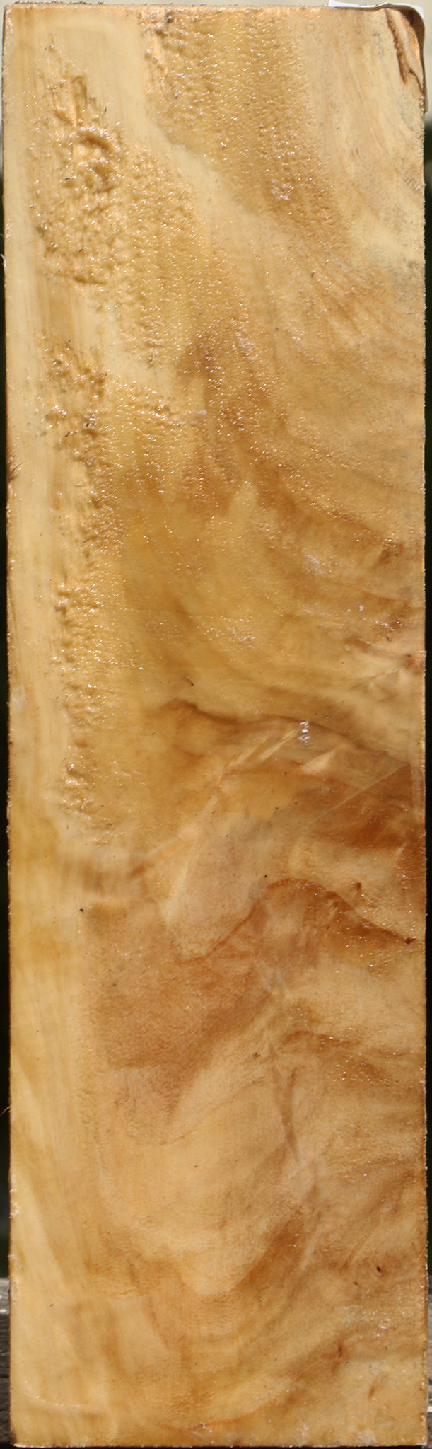 Extra Fancy Black Cottonwood Vessel Blank