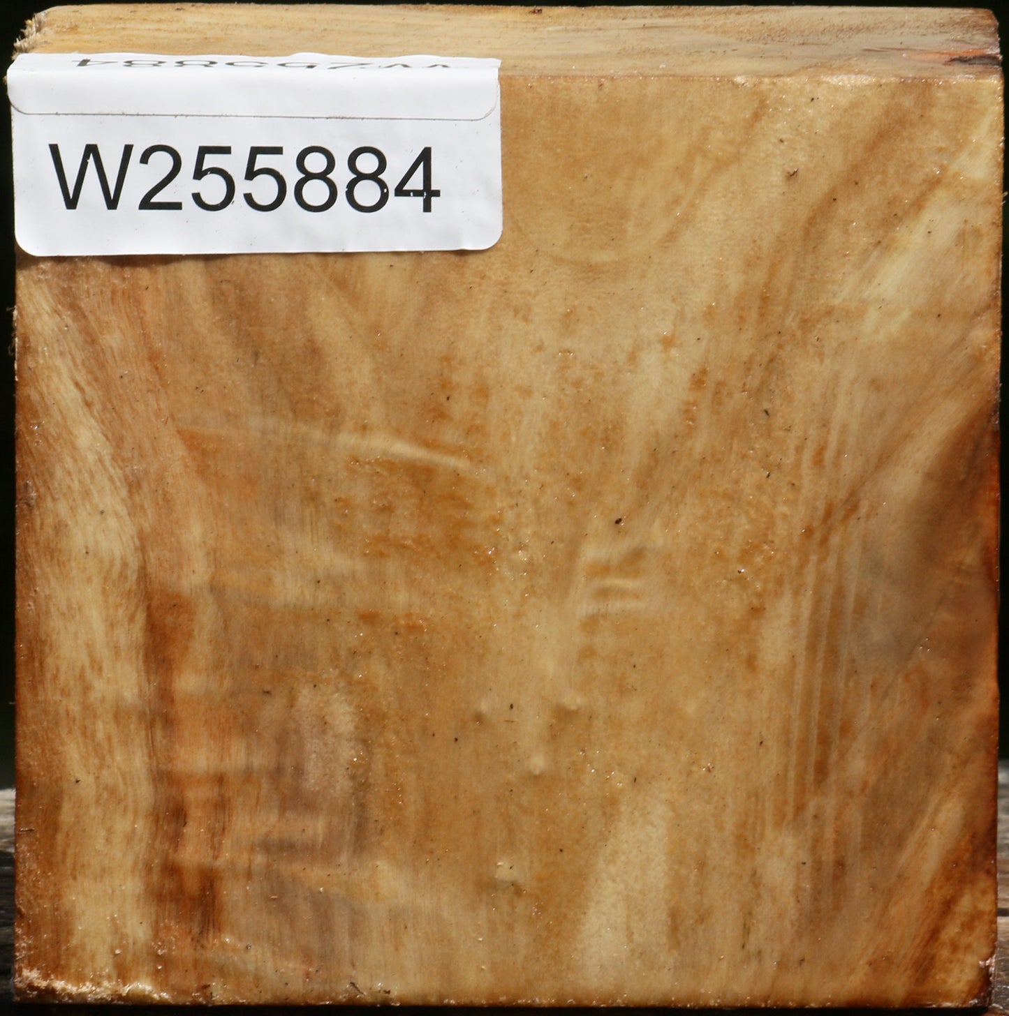 Black Cottonwood Bowl Blank