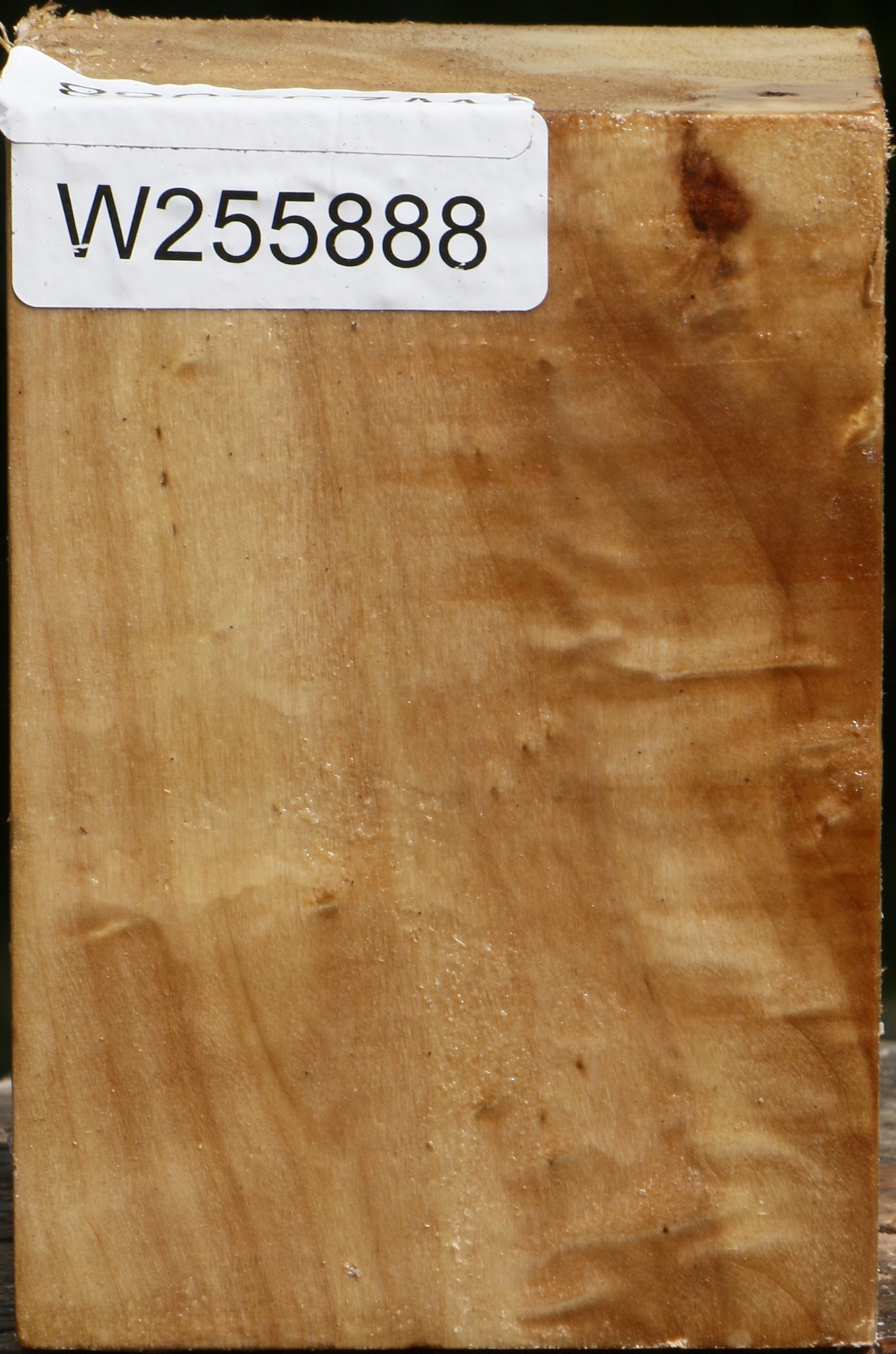 Figured Black Cottonwood Turning Blank