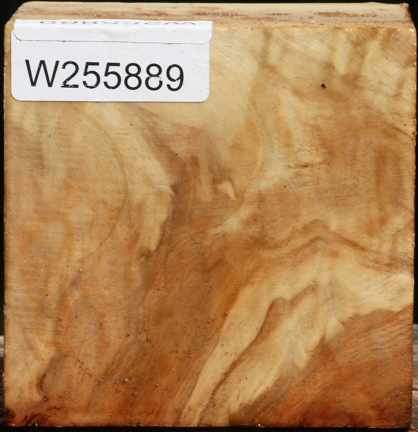 Figured Black Cottonwood Bowl Blank