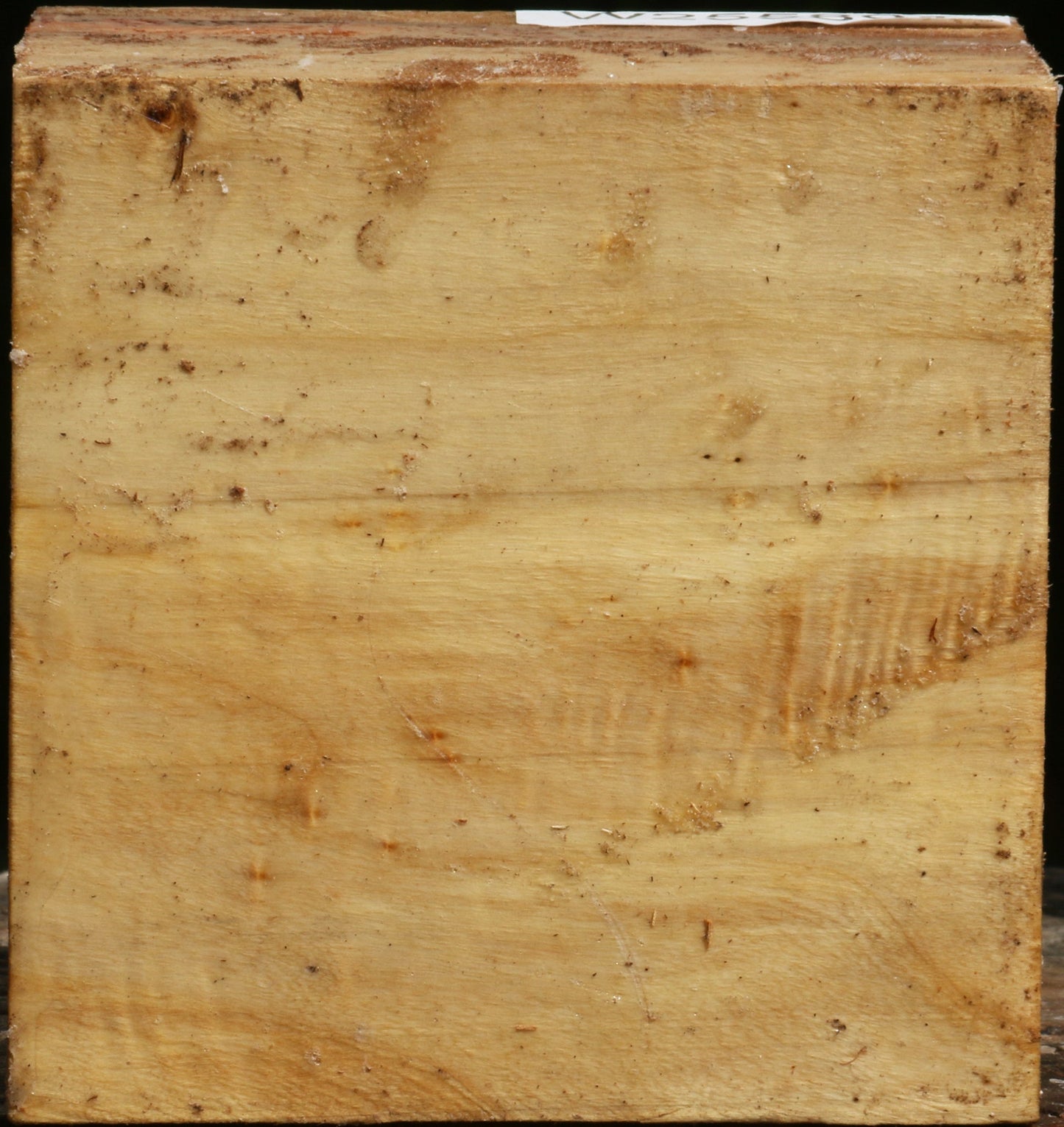Figured Black Cottonwood Bowl Blank