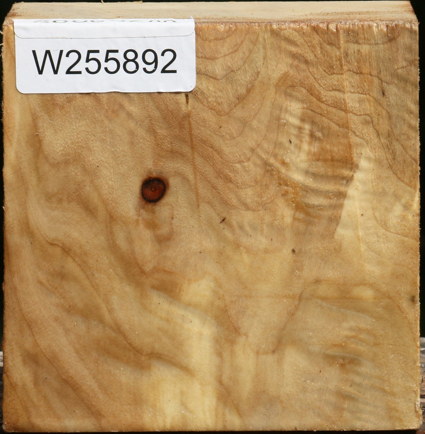 Figured Black Cottonwood Bowl Blank