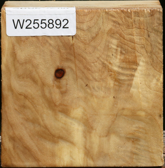 Figured Black Cottonwood Bowl Blank
