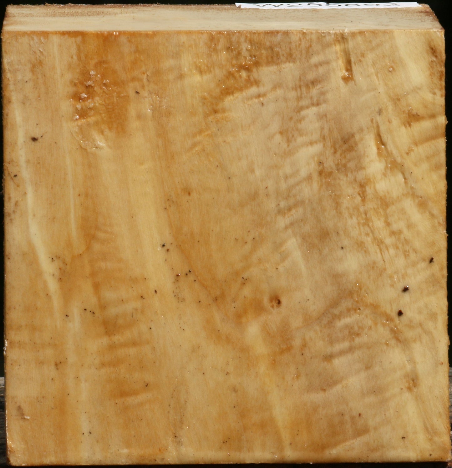 Figured Black Cottonwood Bowl Blank
