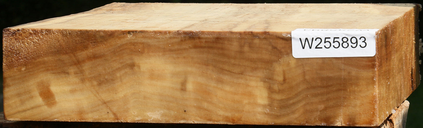 Black Cottonwood Bowl Blank