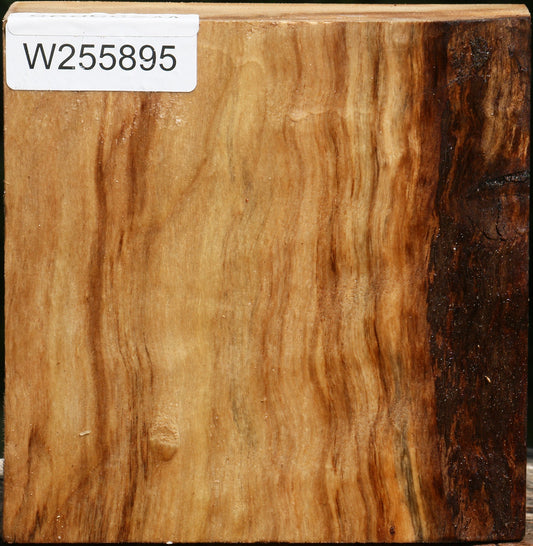 Black Cottonwood Bowl Blank