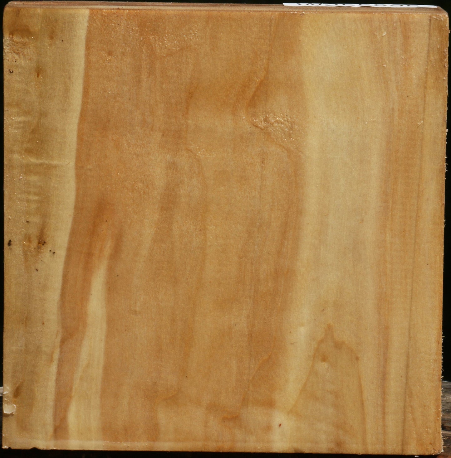 Black Cottonwood Bowl Blank