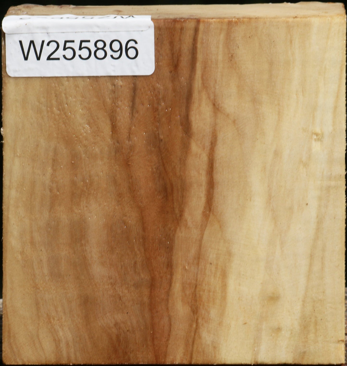 Black Cottonwood Bowl Blank
