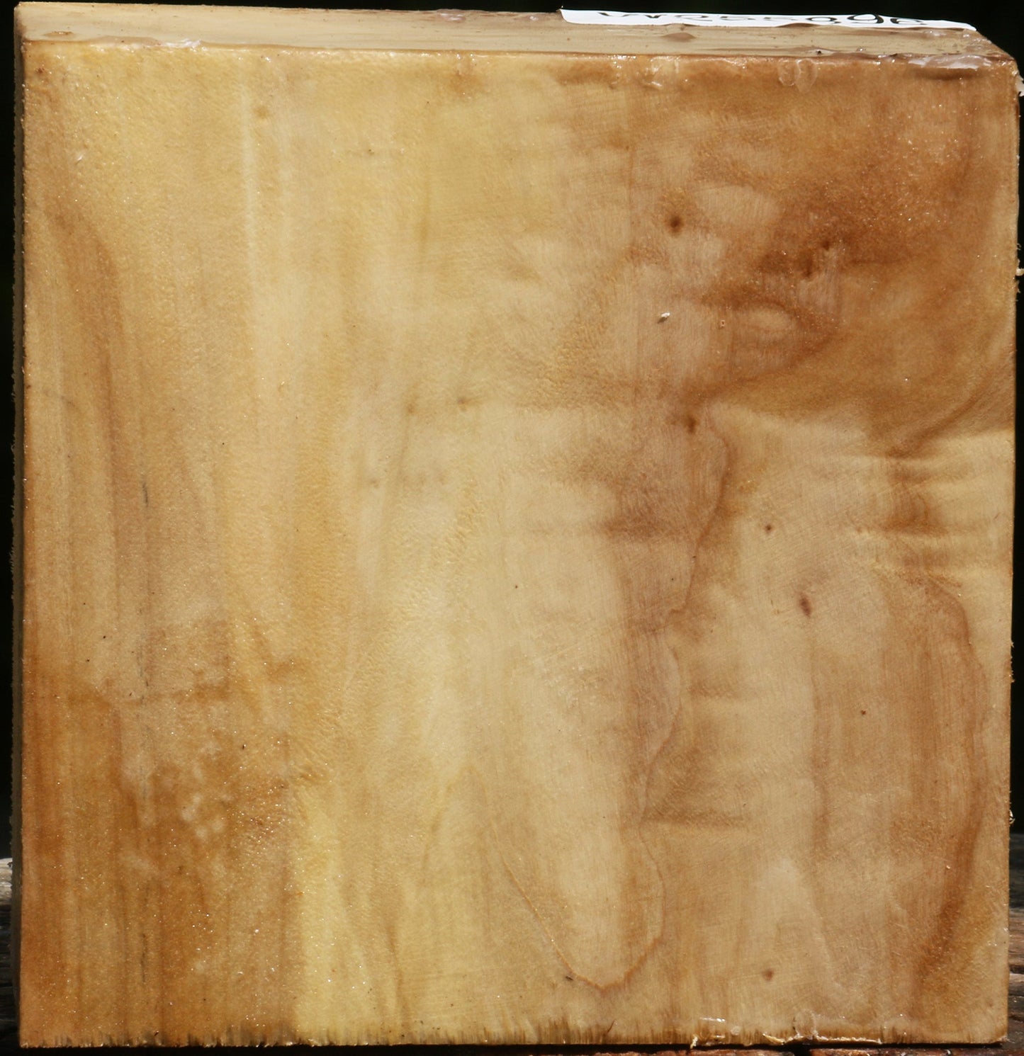 Black Cottonwood Bowl Blank