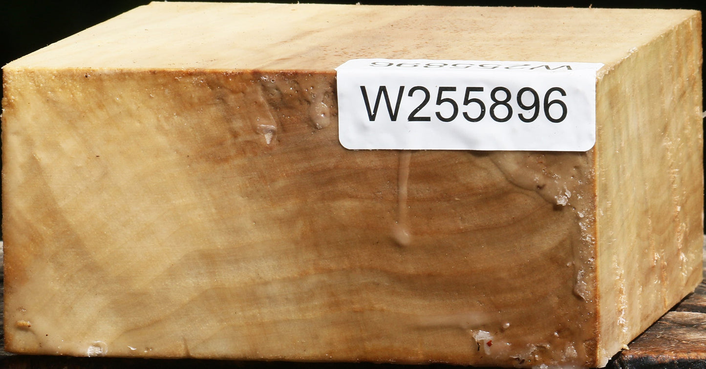 Black Cottonwood Bowl Blank