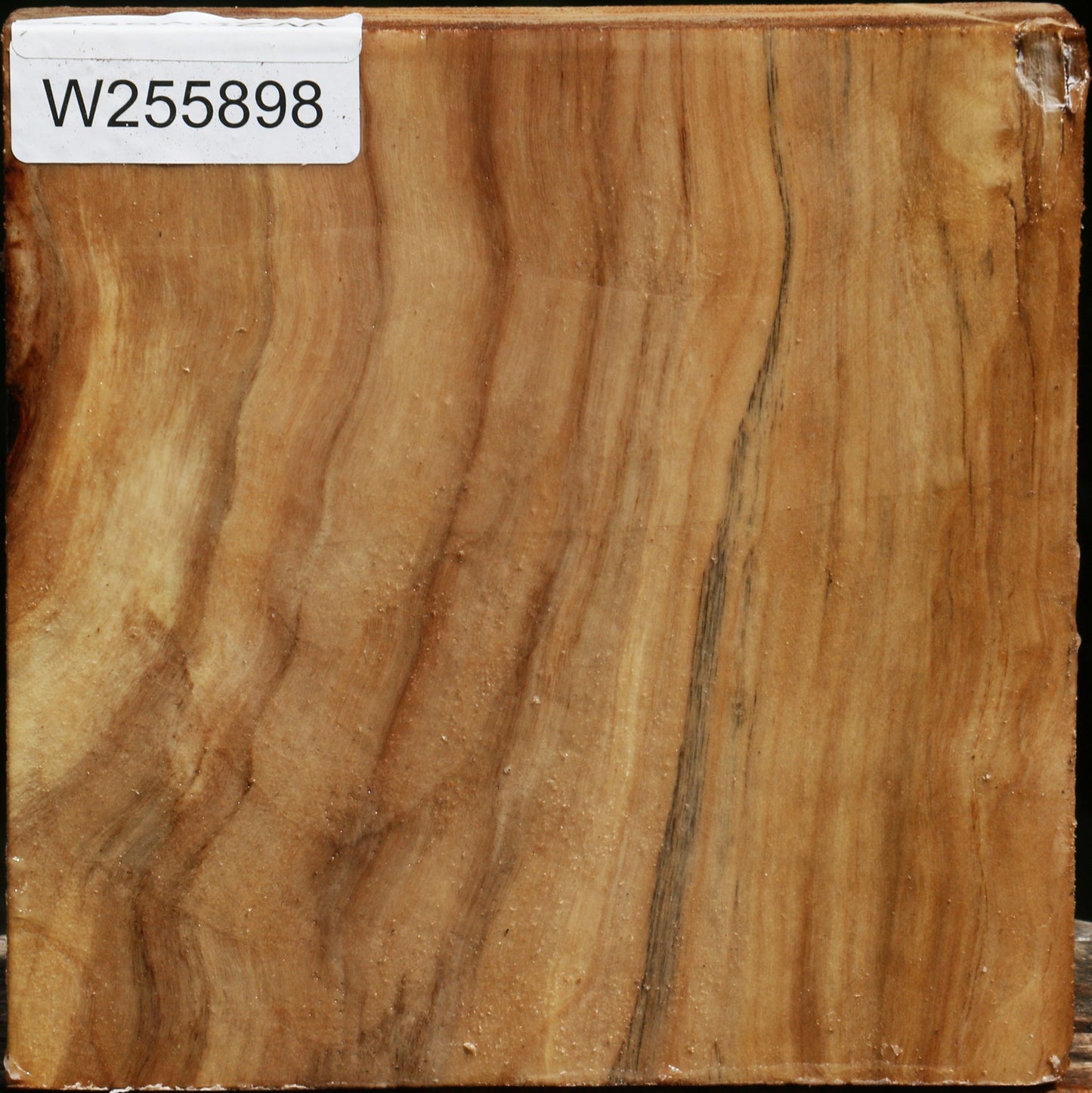 Black Cottonwood Bowl Blank