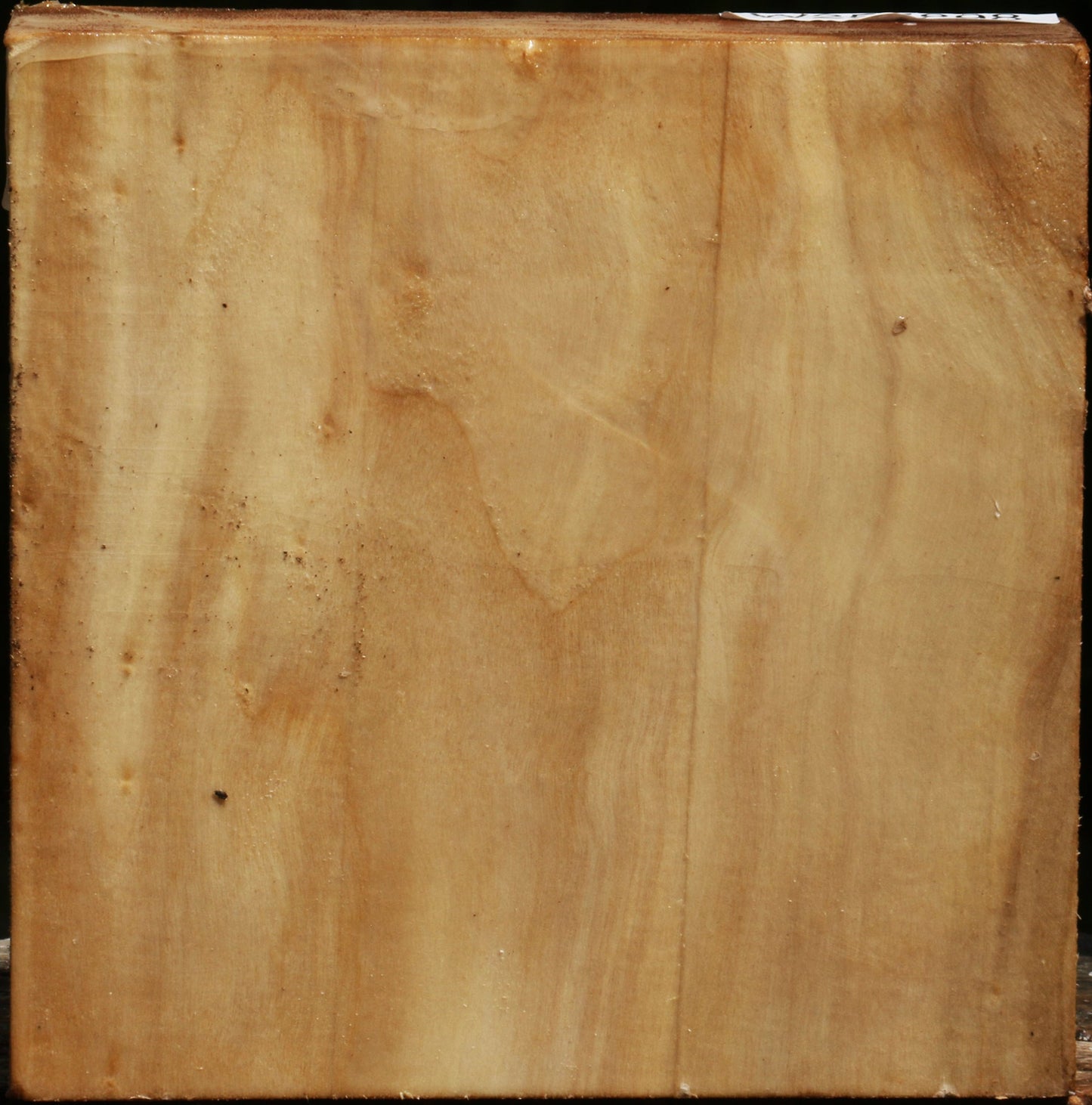 Black Cottonwood Bowl Blank