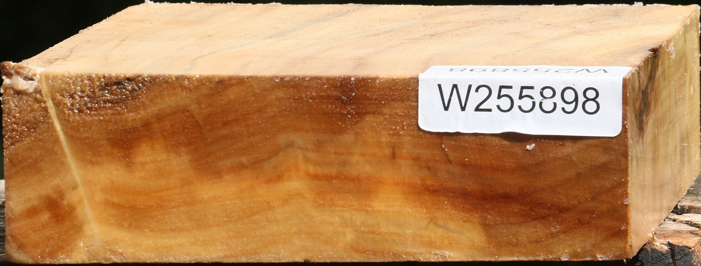 Black Cottonwood Bowl Blank