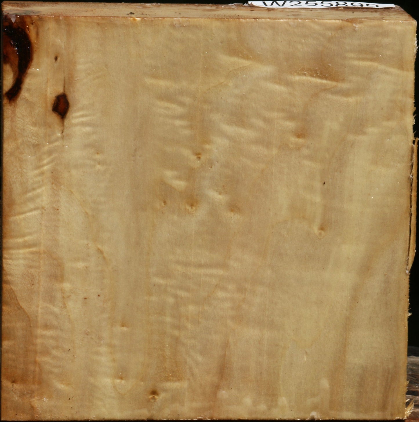 Figured Black Cottonwood Bowl Blank