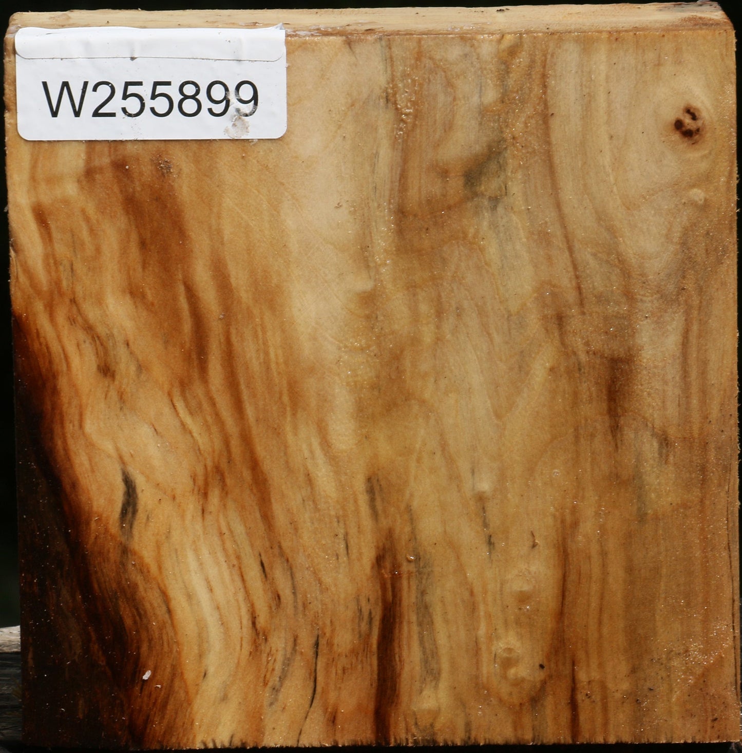 Figured Black Cottonwood Bowl Blank