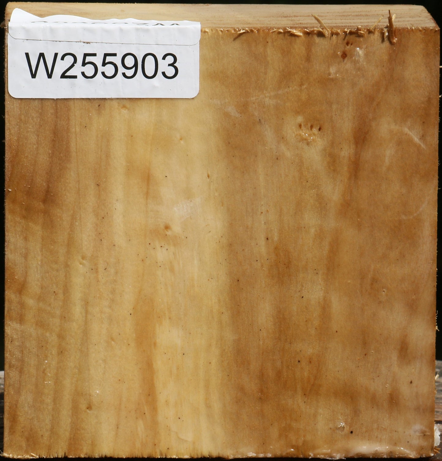 Figured Black Cottonwood Bowl Blank