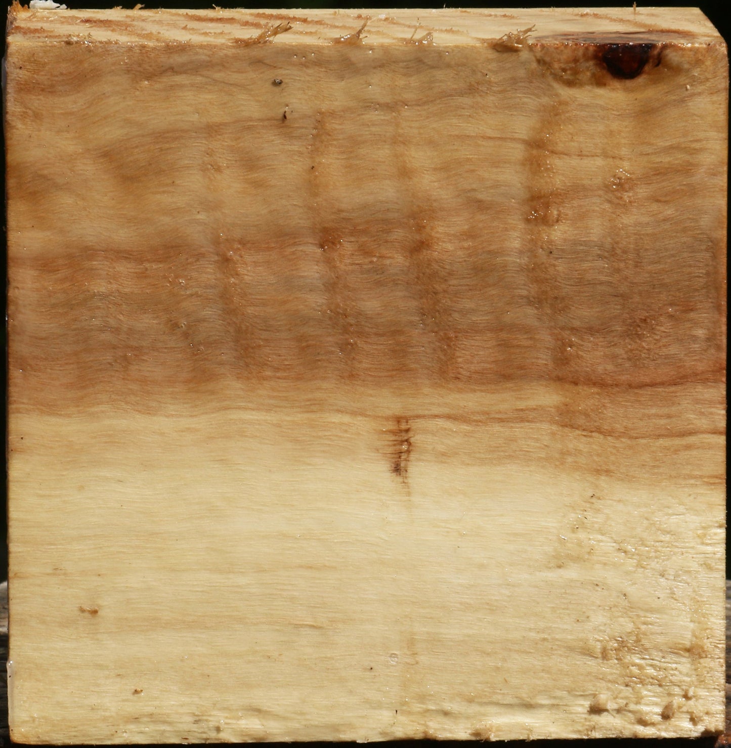 Figured Black Cottonwood Bowl Blank