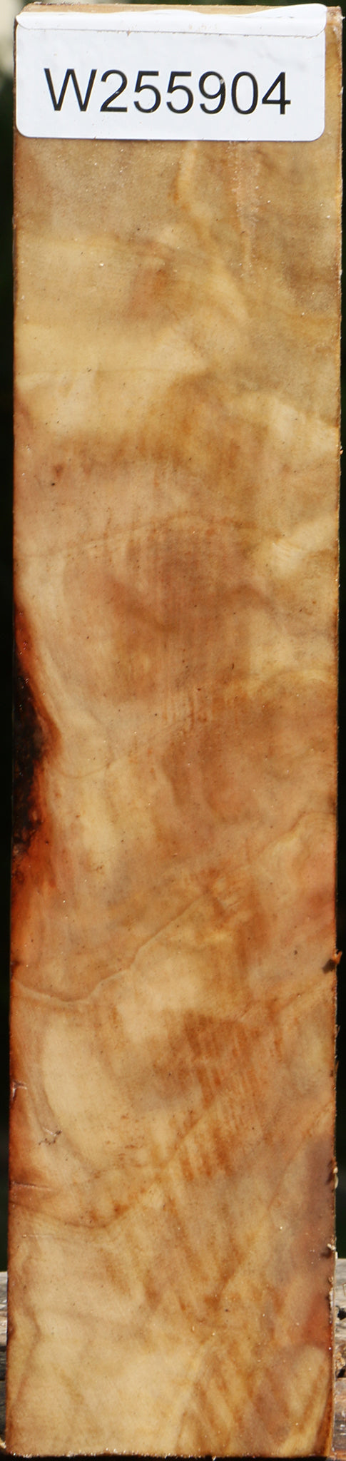 Extra Fancy Black Cottonwood Turning Square