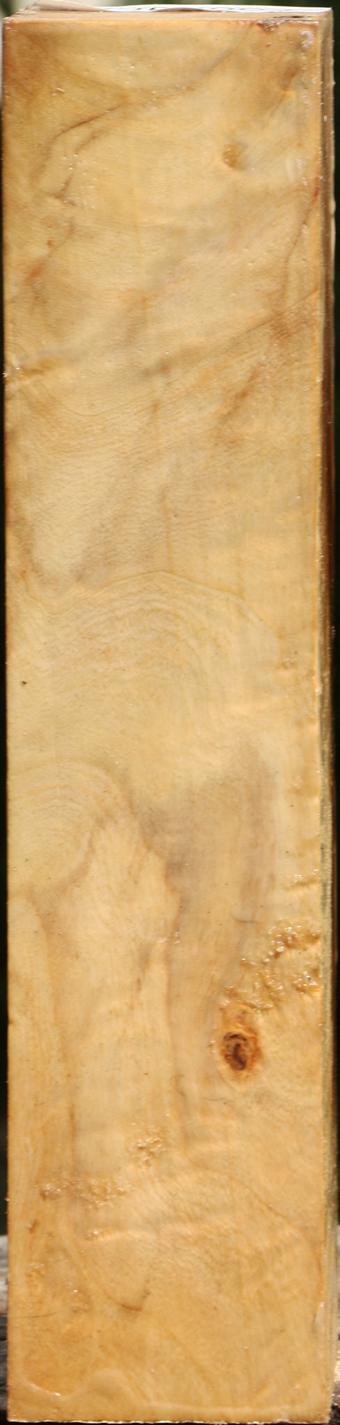 Extra Fancy Black Cottonwood Turning Square