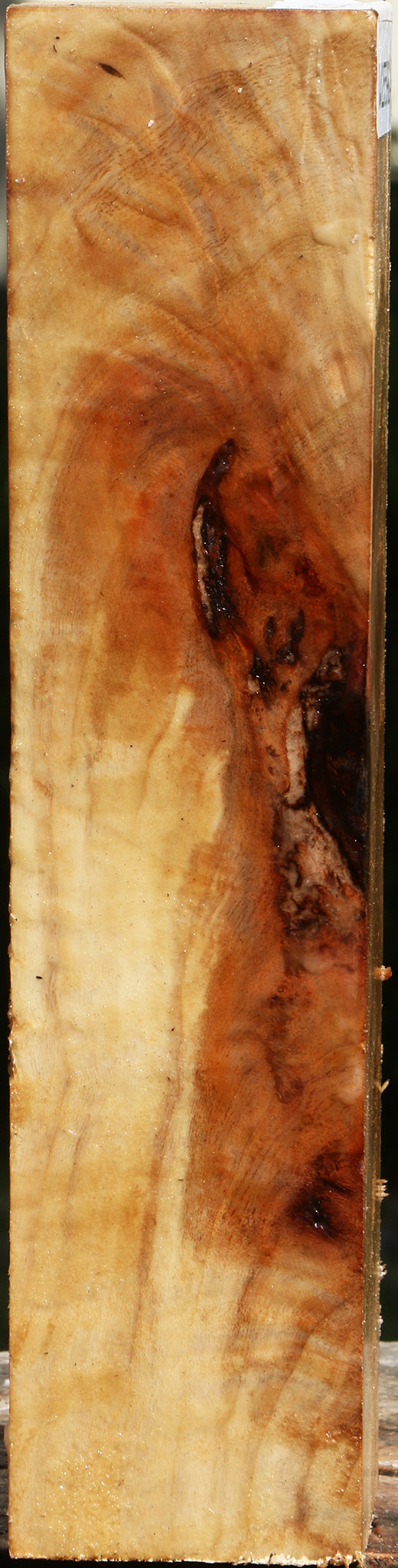 Extra Fancy Black Cottonwood Turning Square